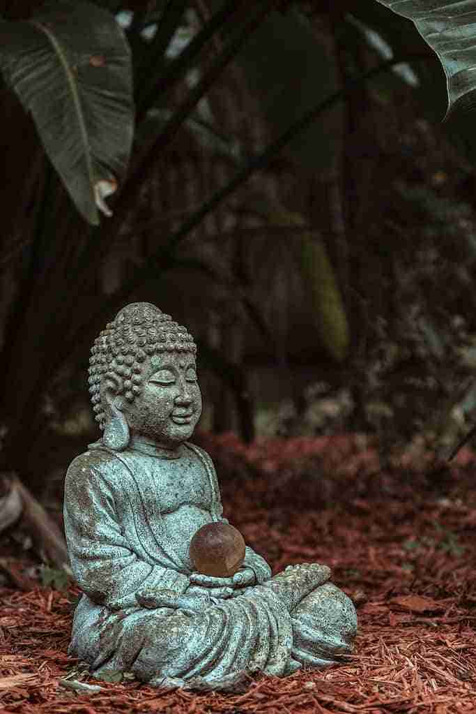 The Relationship Between Enlightenment And Mindfulness Meditation