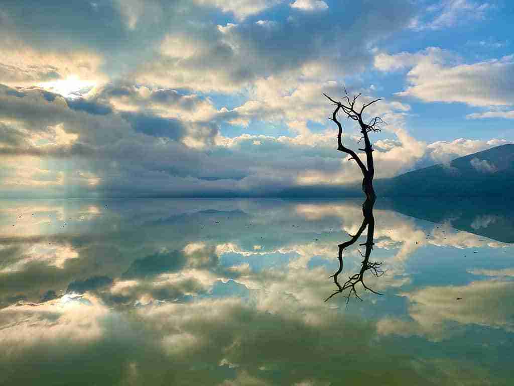 The Role of Stillness in Achieving Spiritual Enlightenment