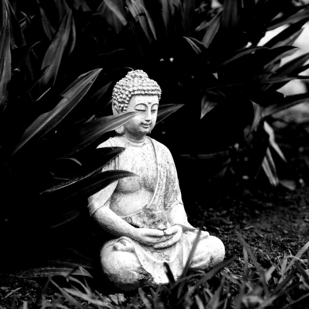 The Transformational Power of Yoga Retreats