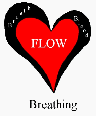 Breath Flow and Blood Flow