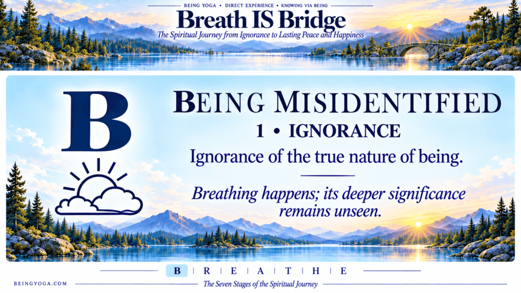 01 b being misidentified