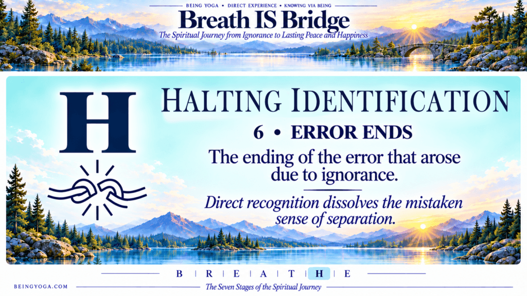 06 h halting identification