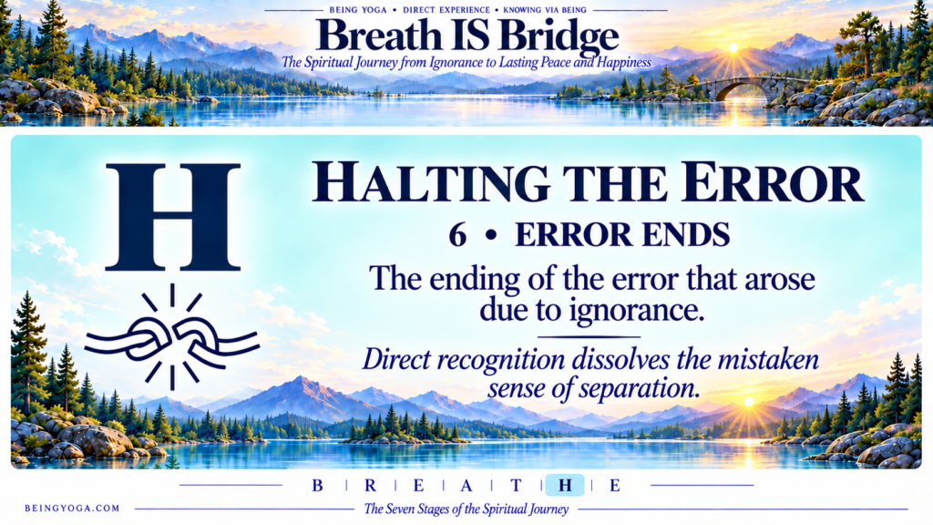Halting the Error - halting the error